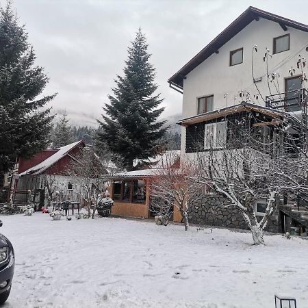 Zoso Home Buşteni Eksteriør bilde