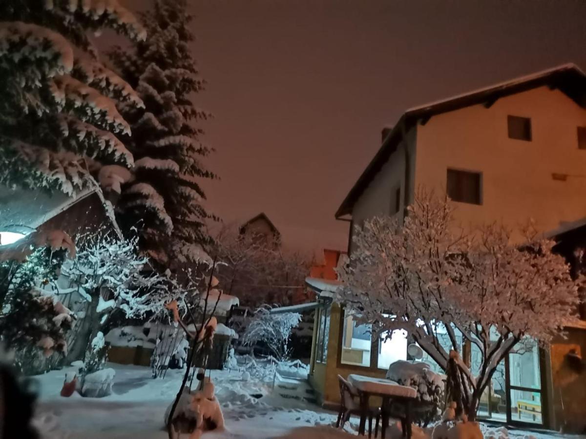 Zoso Home Buşteni Eksteriør bilde
